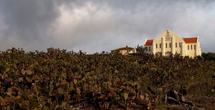 This is the view from the back of our house. A small church perched on top of a hill of Cacti
