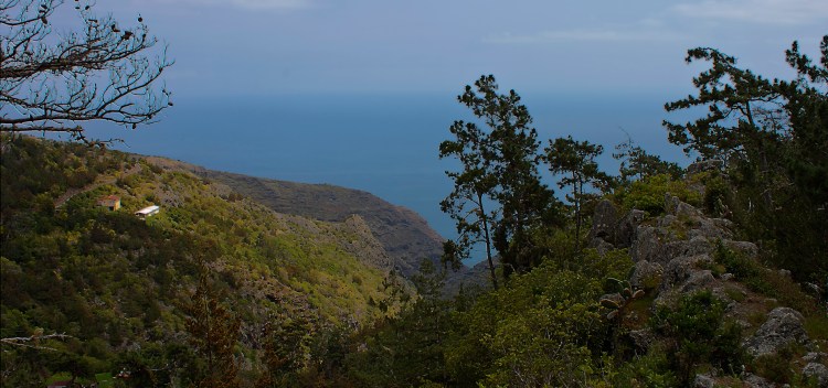 The start of the ridge of Mount Eternity. Too narrow to take the boys with us today!