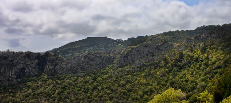 Mount Etenity Ridge with Half Tree Hollow and The Fort in the Background