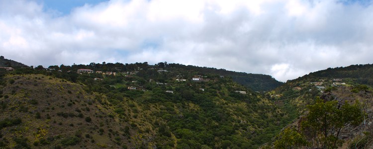 Looking back towards New Ground, a leafy suburb of Half Tree Hololw