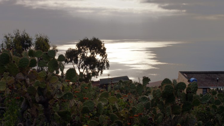 The Sunsets from our house are already good. When we get a clear evening they will be spectacular.
