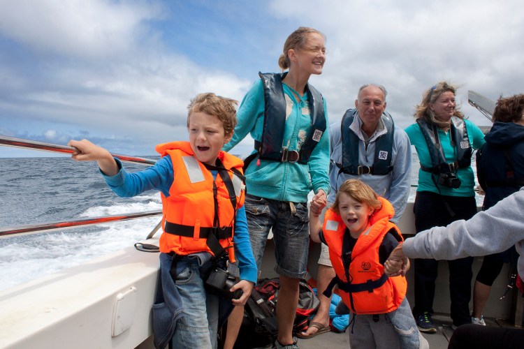 My wonderful family Oliver, Bev and Charlie. 