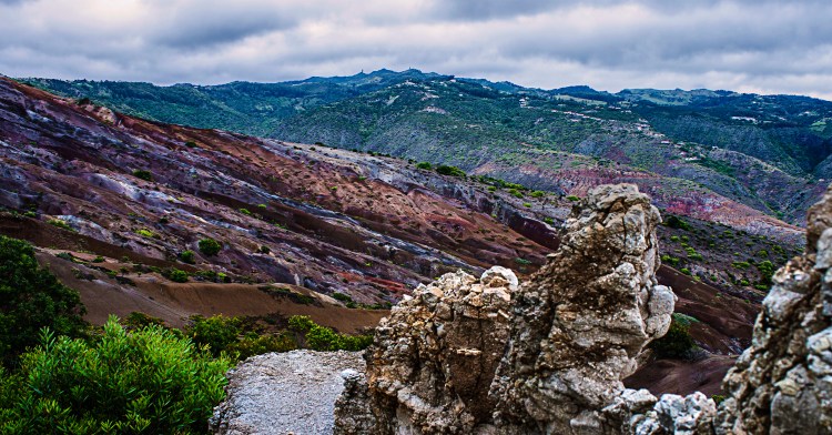 Banks Valley St Helena