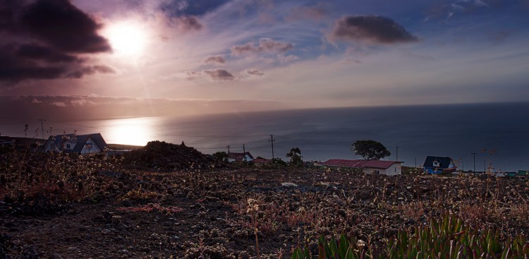 Where once stood acres of wildlife now stand mud and dust.