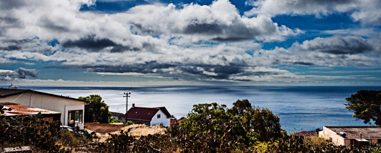 Summer starts to find its way into life at Half Tree Hollow. 