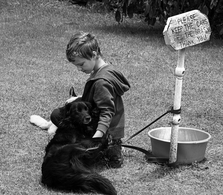 Oliver meets a new friend on our photo walk. I think it reminded him of our lovely dog Ned, whom we have had to leave in the good care of our parents. We miss him dearly.