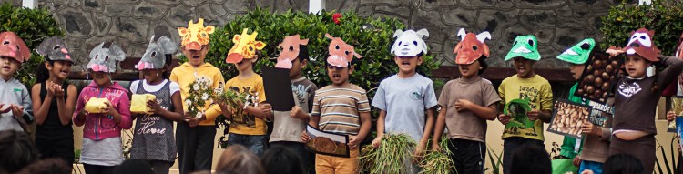 Olivers Class Pilling School Harvest Festival 