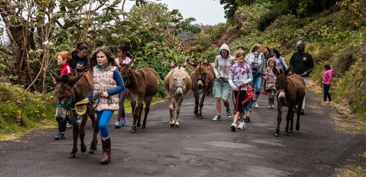 You can tell by peoples clothes that the central ridge is almost always chilly due to the high winds.