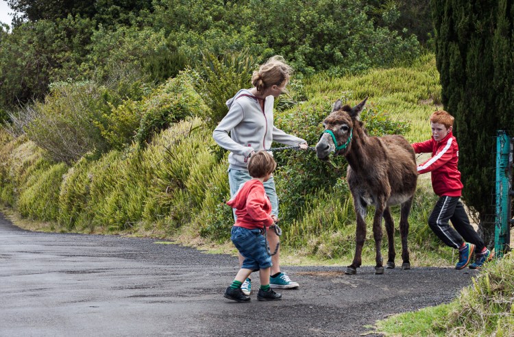 Prince did have his stubborn moments when he would just point blank refuse to move.
