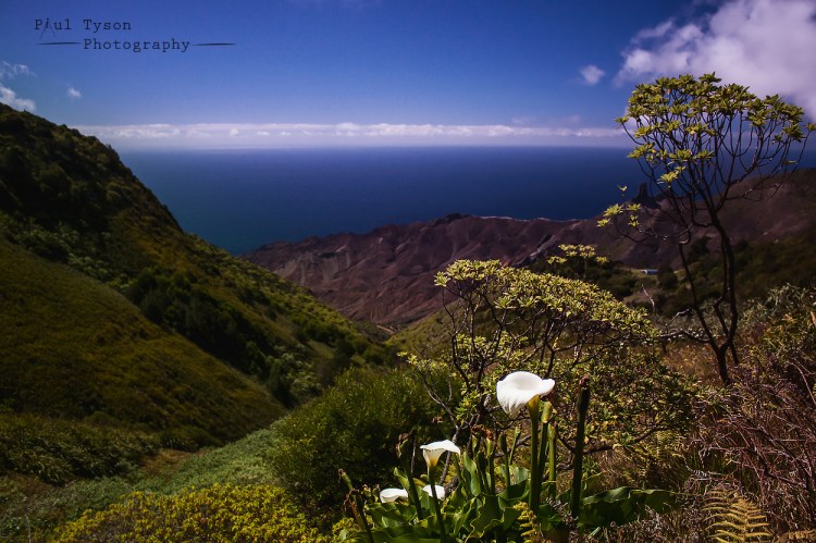 Sandy Bay Amphitheatre and Arum Lilly