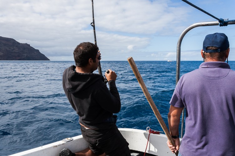 Let battle commence.