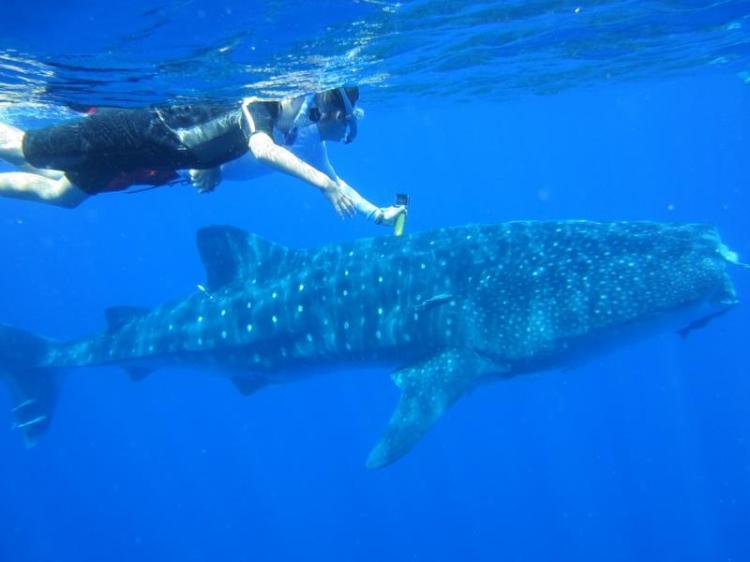 Sammi and Paul with Whale Shark