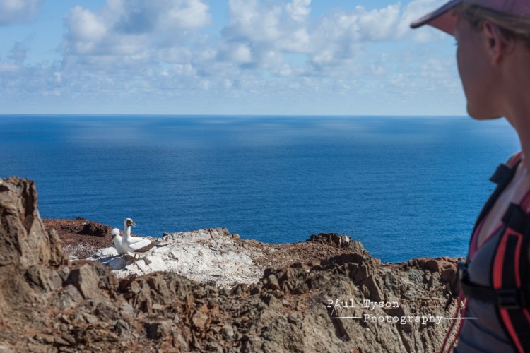 Bev looks on at the chick and its parent.