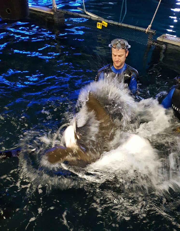 22366310_10155897141030530_3757170239145819773_n